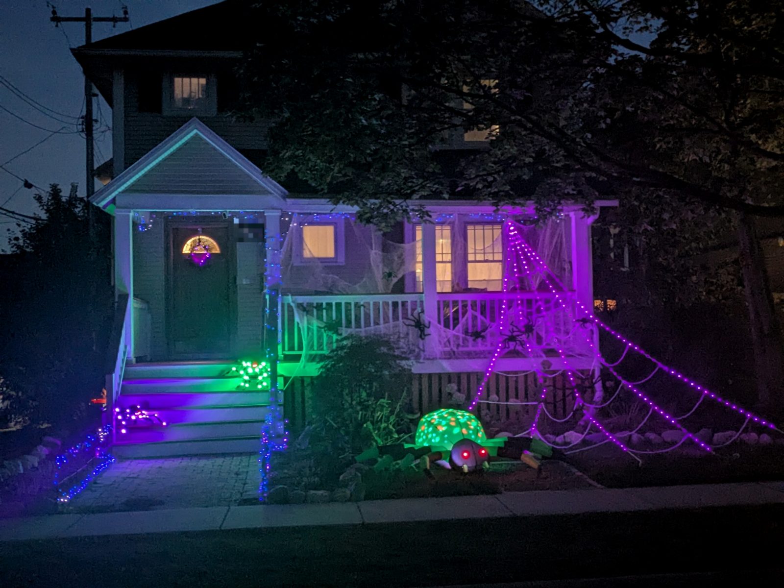 The same yard after dark, shot from the street. The whole facade reads in purple and green, the rope web is the brightest thing in the frame, and the lit spider sits low in the planting bed.