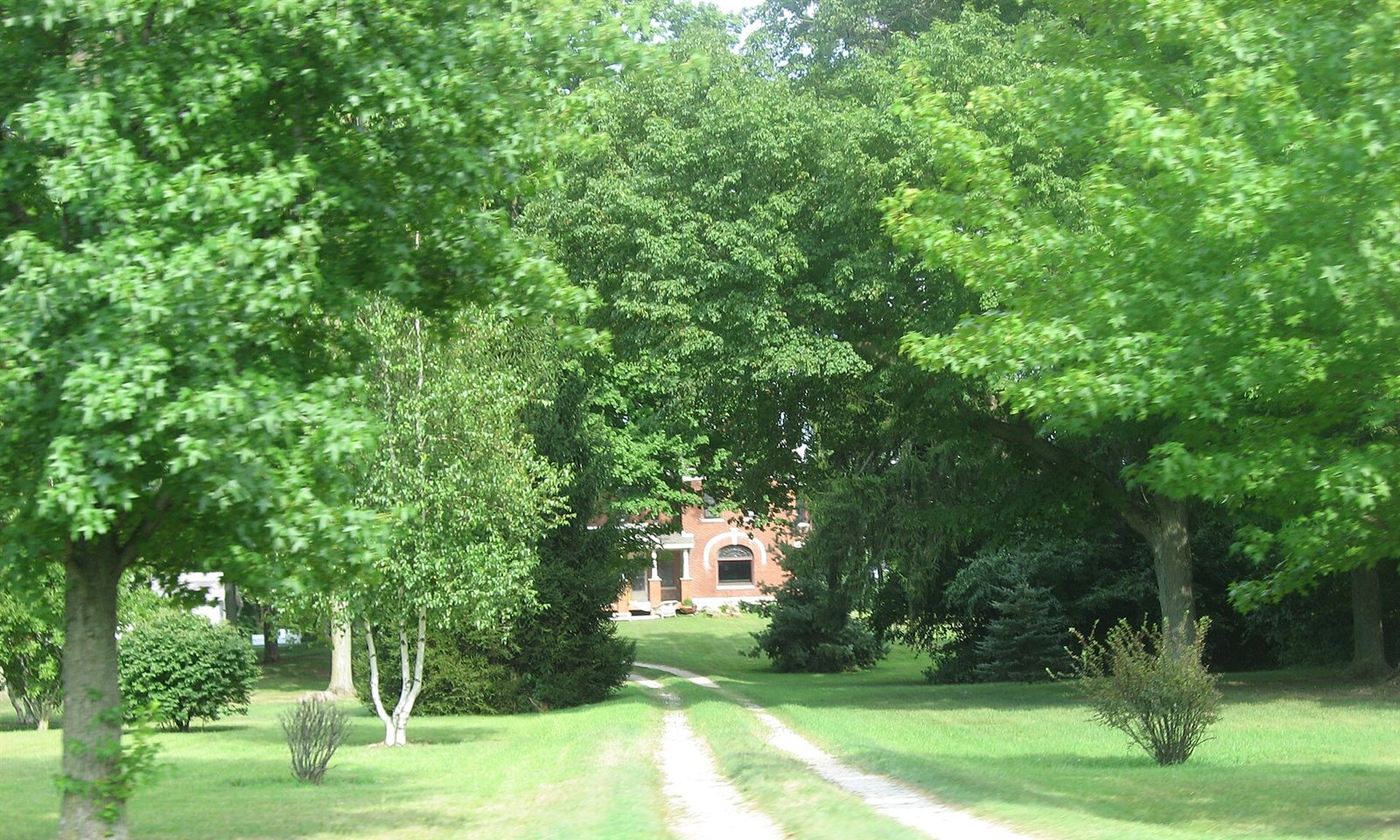 A two-track gravel driveway running away from the camera across a mown lawn between mature trees on a bright summer day. A red brick farmhouse with a white arched window and a small porch stands at the far end, most of it screened by the trees around it.